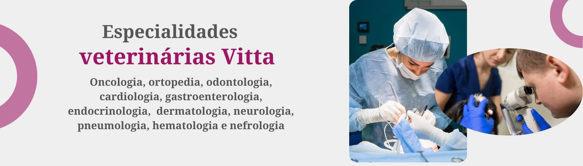especialidades
