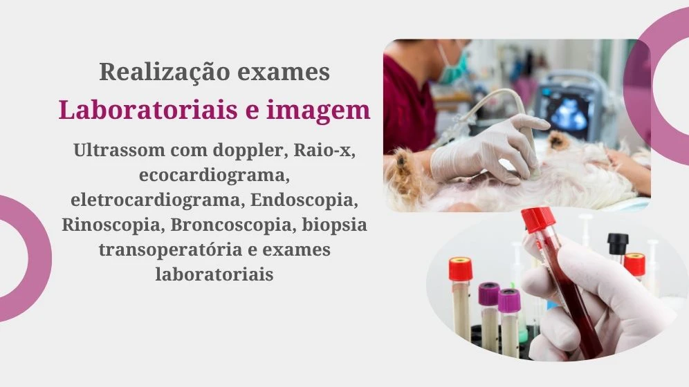 exames