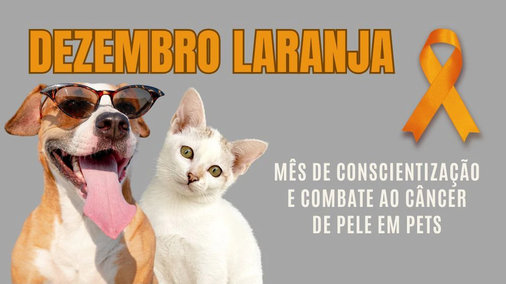 Dezembro laranja 