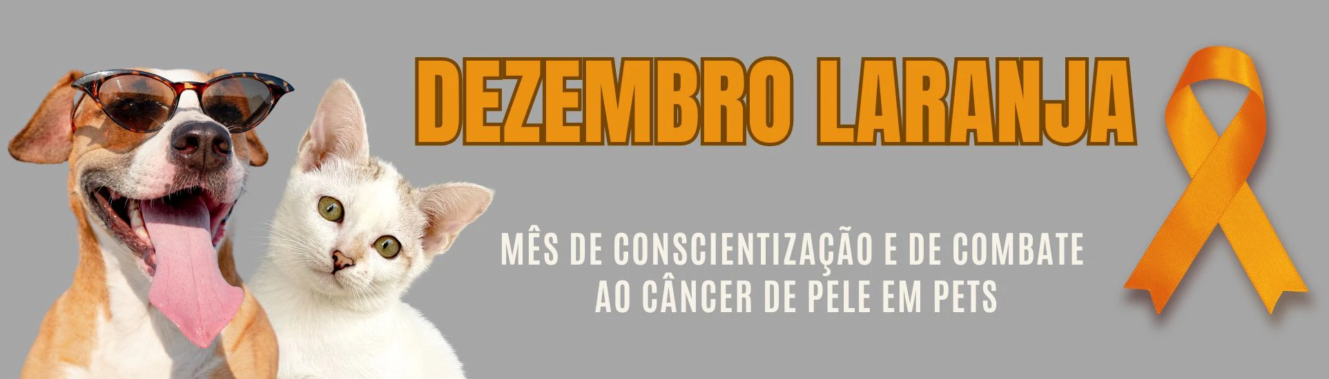 Dezembro laranja 