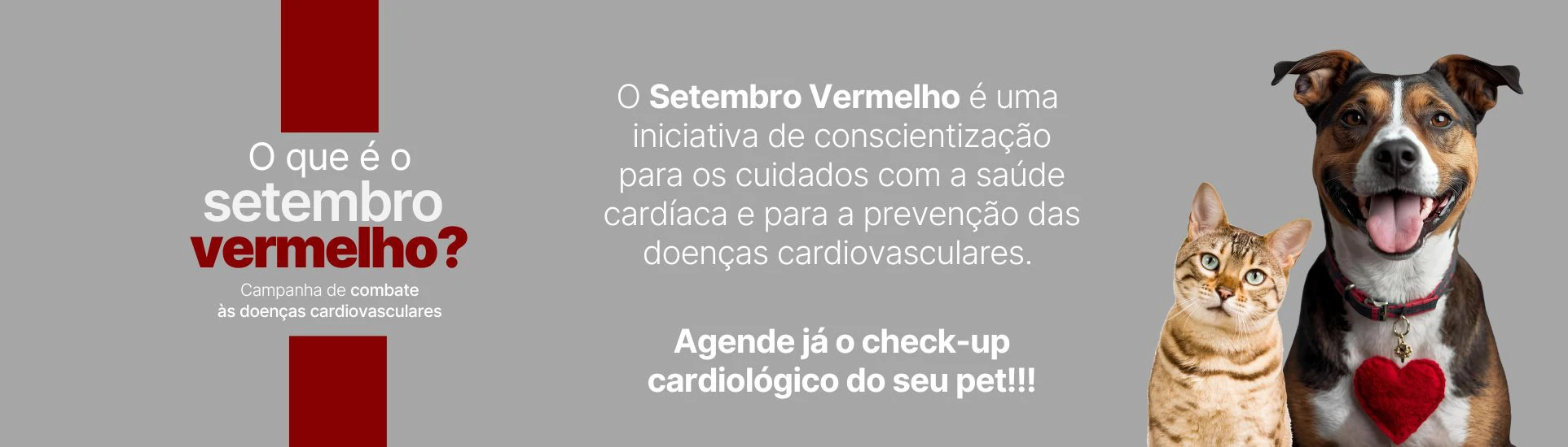 setembro vermelho