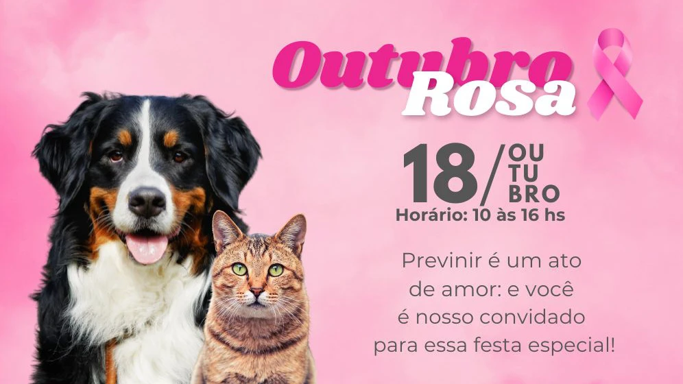 Campanha outubro rosa na Vitta